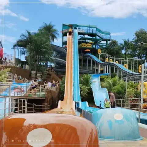 thermas-e-cia-imagem-galeria-everest-atracao-radical-no-thermas-dos-laranjais-6897a68aa4ba3_0.webp