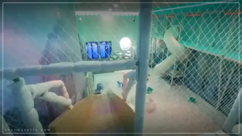 Ingresso PitStop Parque de Neve em Olímpia SP