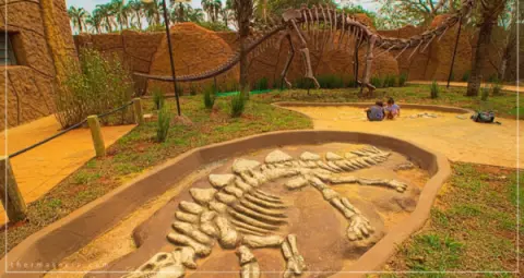 thermas-e-cia-imagem-galeria-ingresso-vale-dos-dinossauros-em-olimpia-sp-6897b340eb9f5_2.webp