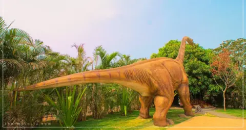 Ingresso Vale dos Dinossauros em Olimpia SP