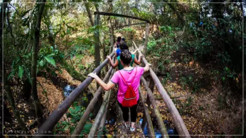 Terra Parque Eco Resort: Aventura, Vulcão e Natureza em Pirapozinho - SP