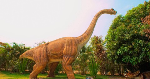 Vale dos Dinossauros em Olímpia SP  