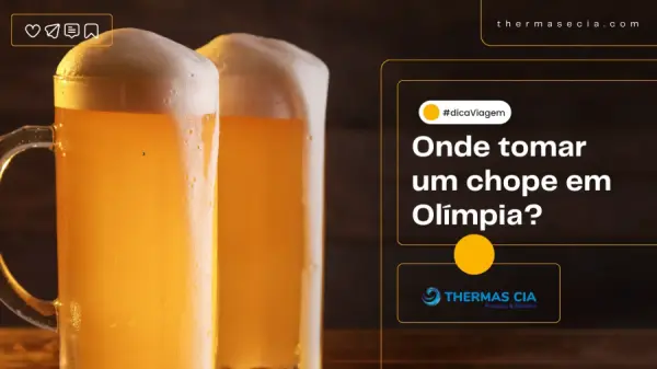 Foto demonstrativa de Onde tomar um Chope em Olímpia? Vem que separamos 5 melhores
