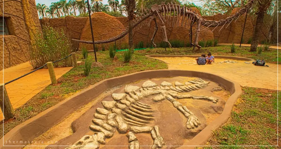 thermas-e-cia-imagem-galeria-ingresso-vale-dos-dinossauros-em-olimpia-sp-6897b340eb9f5_2.webp