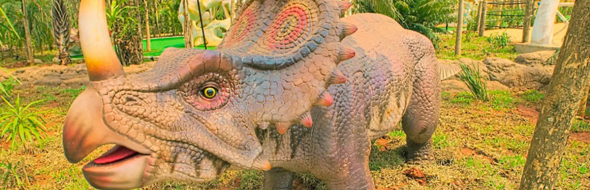Ingresso Vale dos Dinossauros em Olimpia SP